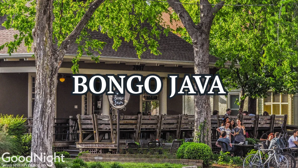 An outdoor seating area shaded by large trees, with people enjoying coffee and conversation at Bongo Java’s patio. The casual, friendly vibe and the presence of the 'Bongo Java' sign root the scene in a popular local spot, ideal for relaxed mornings or afternoons.